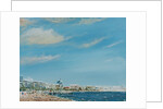 Cannes Sea Front, 2014 by Vincent Alexander Booth
