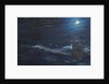 The Tell tale Moon, 1995 by Vincent Alexander Booth