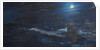 The Tell tale Moon, 1995 by Vincent Alexander Booth