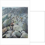 Uphill Fell race, 2013 by Vincent Alexander Booth