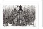 The Castle in the forest of Findhorn, 2006 by Vincent Alexander Booth