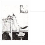 Goldfish bowl puzzle, 2009 by Vincent Alexander Booth