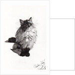 cheekie baby by Vincent Alexander Booth