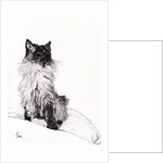 Baby, 2008, by Vincent Alexander Booth