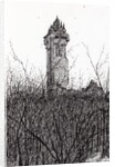 Wallace monument, 2007 by Vincent Alexander Booth