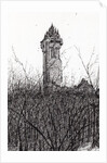 Wallace monument, 2007 by Vincent Alexander Booth