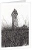 Wallace monument, 2007 by Vincent Alexander Booth