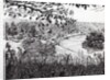 View from Richmond Hill London, 2004 by Vincent Alexander Booth