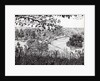 View from Richmond Hill London, 2004 by Vincent Alexander Booth