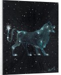 Star sign Leo, 2016 by Vincent Alexander Booth