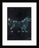 Star sign Leo, 2016 by Vincent Alexander Booth