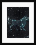 Star sign Leo, 2016 by Vincent Alexander Booth