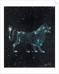 Star sign Leo, 2016 by Vincent Alexander Booth