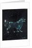 Star sign Leo, 2016 by Vincent Alexander Booth