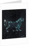 Star sign Leo, 2016 by Vincent Alexander Booth