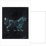 Star sign Leo, 2016 by Vincent Alexander Booth