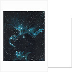 Star sign Aquarius, 2016 by Vincent Alexander Booth