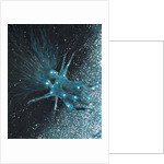 Star sign Geminii, 2016 by Vincent Alexander Booth