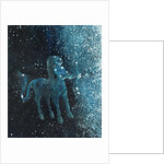 Star sign Sagitarius, 2016 by Vincent Alexander Booth