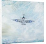 Spitfire 'Ace of Spades', 2016 by Vincent Alexander Booth