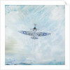 Spitfire 'Ace of Spades', 2016 by Vincent Alexander Booth
