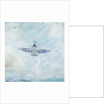 Spitfire 'Ace of Spades', 2016 by Vincent Alexander Booth