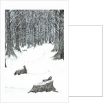 The Castle in the Forest of Findhorn, snow stumps, 2006 by Vincent Alexander Booth