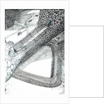 The Castle in the Forest of Findhorn, skybridge, 2006 by Vincent Alexander Booth