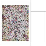 Stars give birth to Colour, 2016 by Vincent Alexander Booth