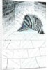 The Castle in the Forest of Findhorn, cellar steps, 2006 by Vincent Alexander Booth