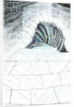 The Castle in the Forest of Findhorn, cellar steps, 2006 by Vincent Alexander Booth