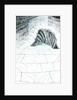 The Castle in the Forest of Findhorn, cellar steps, 2006 by Vincent Alexander Booth