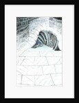 The Castle in the Forest of Findhorn, cellar steps, 2006 by Vincent Alexander Booth