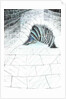 The Castle in the Forest of Findhorn, cellar steps, 2006 by Vincent Alexander Booth