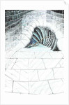 The Castle in the Forest of Findhorn, cellar steps, 2006 by Vincent Alexander Booth
