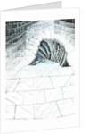 The Castle in the Forest of Findhorn, cellar steps, 2006 by Vincent Alexander Booth