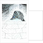 The Castle in the Forest of Findhorn, cellar steps, 2006 by Vincent Alexander Booth