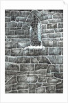 The Castle in the Forest of Findhorn, web window, 2006 by Vincent Alexander Booth