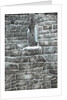 The Castle in the Forest of Findhorn, web window, 2006 by Vincent Alexander Booth