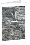 The Castle in the Forest of Findhorn, web window, 2006 by Vincent Alexander Booth