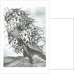 Storm Creators North Sea, 2017 by Vincent Alexander Booth