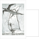 Storm Creators Wandel Sea, 2017 by Vincent Alexander Booth