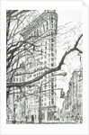 New York Flat Iron Building, 2003 by Vincent Alexander Booth