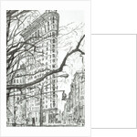 New York Flat Iron Building, 2003 by Vincent Alexander Booth