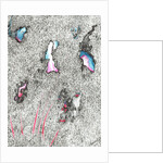 Paleheads, 2017 by Vincent Alexander Booth