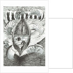 Storm Creators Philippine Sea, 2017 by Vincent Alexander Booth