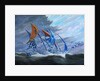 Storm creators Koro Sea, 2018 by Vincent Alexander Booth