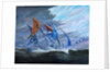 Storm creators Koro Sea, 2018 by Vincent Alexander Booth