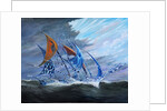 Storm creators Koro Sea, 2018 by Vincent Alexander Booth