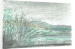 Isle of Jura in downpour, 2005 by Vincent Alexander Booth